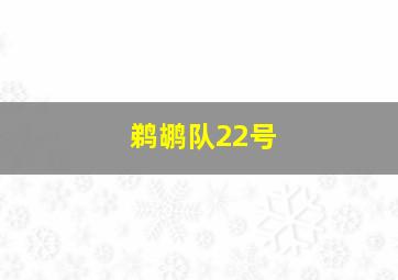 鹈鹕队22号