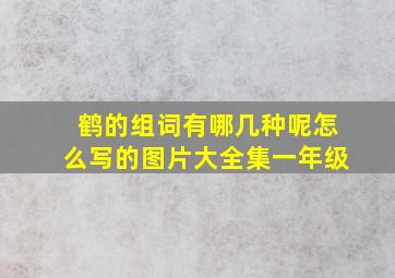 鹤的组词有哪几种呢怎么写的图片大全集一年级