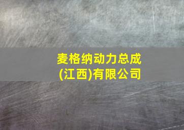 麦格纳动力总成(江西)有限公司