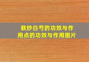 麸炒白芍的功效与作用点的功效与作用图片