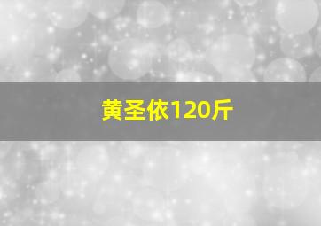 黄圣依120斤