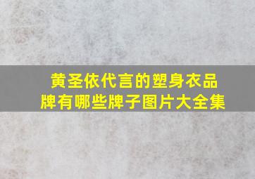 黄圣依代言的塑身衣品牌有哪些牌子图片大全集