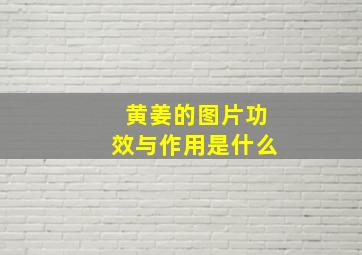 黄姜的图片功效与作用是什么