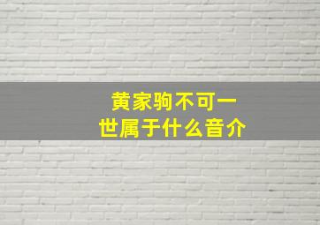 黄家驹不可一世属于什么音介