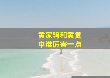 黄家驹和黄贯中谁厉害一点