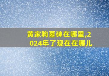 黄家驹墓碑在哪里,2024年了现在在哪儿