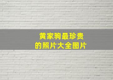 黄家驹最珍贵的照片大全图片