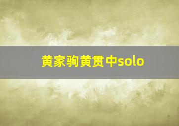 黄家驹黄贯中solo