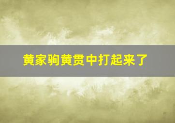 黄家驹黄贯中打起来了