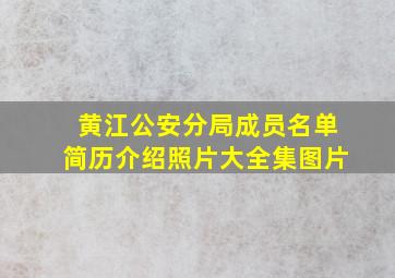 黄江公安分局成员名单简历介绍照片大全集图片