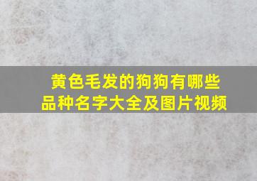 黄色毛发的狗狗有哪些品种名字大全及图片视频