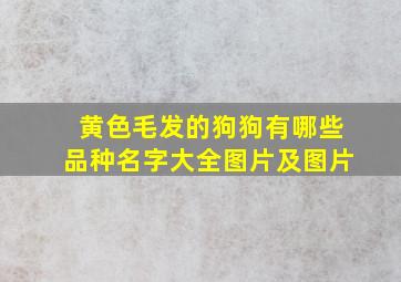 黄色毛发的狗狗有哪些品种名字大全图片及图片