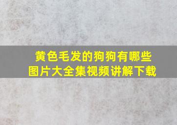 黄色毛发的狗狗有哪些图片大全集视频讲解下载