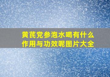 黄芪党参泡水喝有什么作用与功效呢图片大全