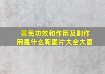 黄芪功效和作用及副作用是什么呢图片大全大图