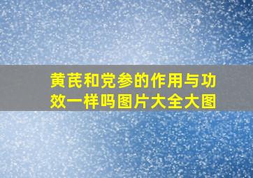 黄芪和党参的作用与功效一样吗图片大全大图