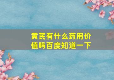 黄芪有什么药用价值吗百度知道一下