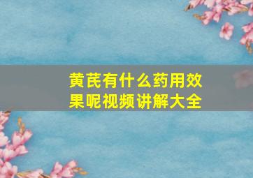 黄芪有什么药用效果呢视频讲解大全