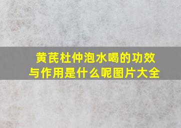 黄芪杜仲泡水喝的功效与作用是什么呢图片大全