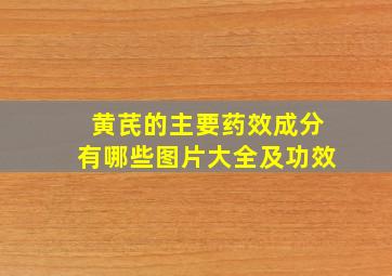 黄芪的主要药效成分有哪些图片大全及功效