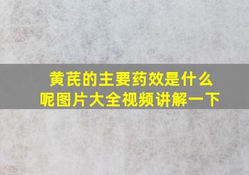 黄芪的主要药效是什么呢图片大全视频讲解一下