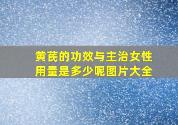 黄芪的功效与主治女性用量是多少呢图片大全