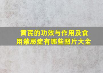 黄芪的功效与作用及食用禁忌症有哪些图片大全