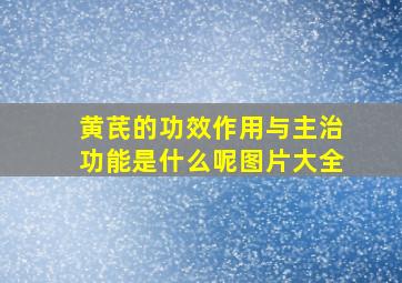 黄芪的功效作用与主治功能是什么呢图片大全