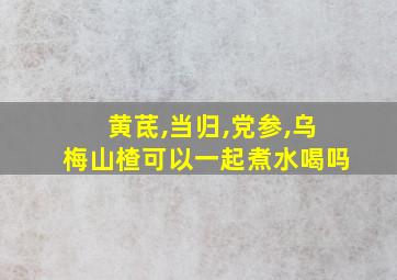 黄茋,当归,党参,乌梅山楂可以一起煮水喝吗