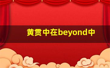 黄贯中在beyond中