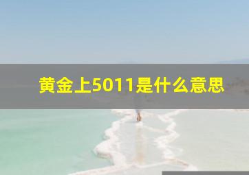 黄金上5011是什么意思