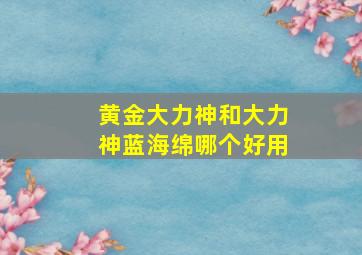 黄金大力神和大力神蓝海绵哪个好用