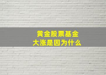 黄金股票基金大涨是因为什么