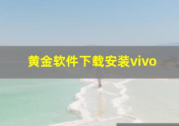 黄金软件下载安装vivo