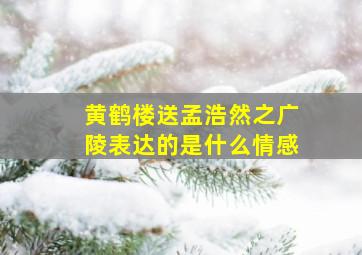 黄鹤楼送孟浩然之广陵表达的是什么情感