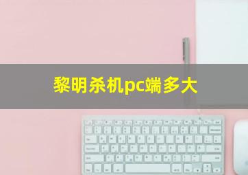 黎明杀机pc端多大