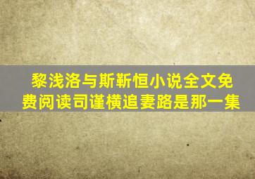 黎浅洛与斯靳恒小说全文免费阅读司谨横追妻路是那一集