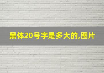 黑体20号字是多大的,图片