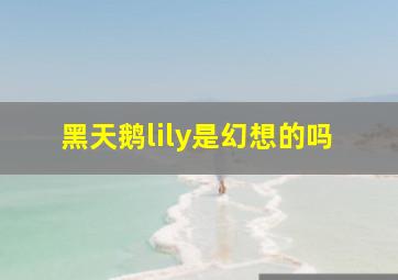 黑天鹅lily是幻想的吗