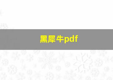 黑犀牛pdf