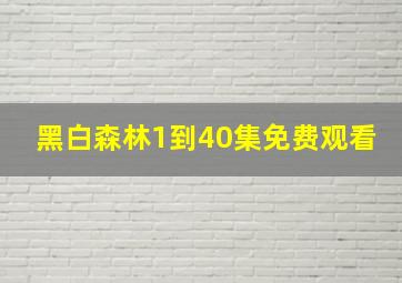 黑白森林1到40集免费观看