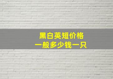 黑白英短价格一般多少钱一只