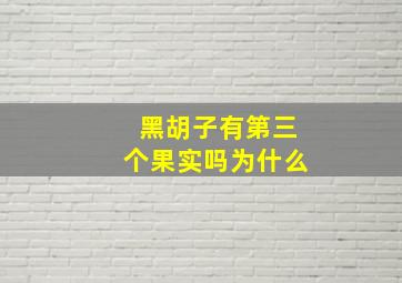 黑胡子有第三个果实吗为什么