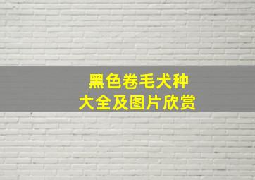 黑色卷毛犬种大全及图片欣赏