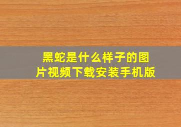 黑蛇是什么样子的图片视频下载安装手机版