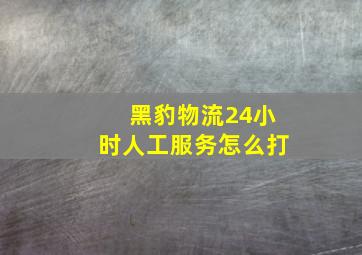 黑豹物流24小时人工服务怎么打