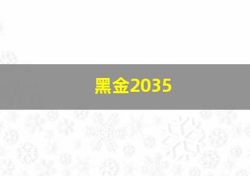 黑金2035