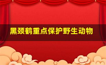 黑颈鹤重点保护野生动物