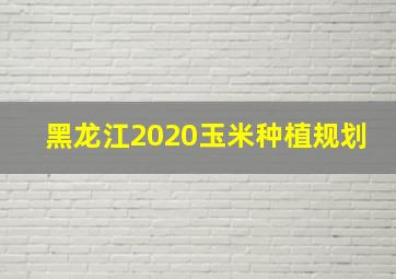 黑龙江2020玉米种植规划