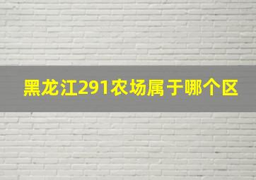 黑龙江291农场属于哪个区